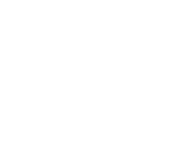 Logo Consorcio